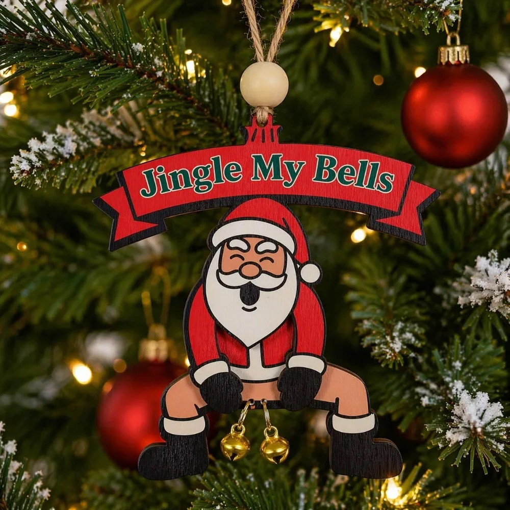 Funny Christmas Ornaments 2025
