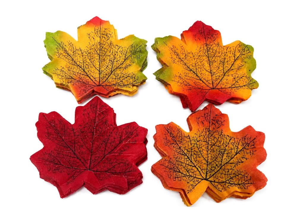Fall & Harvest