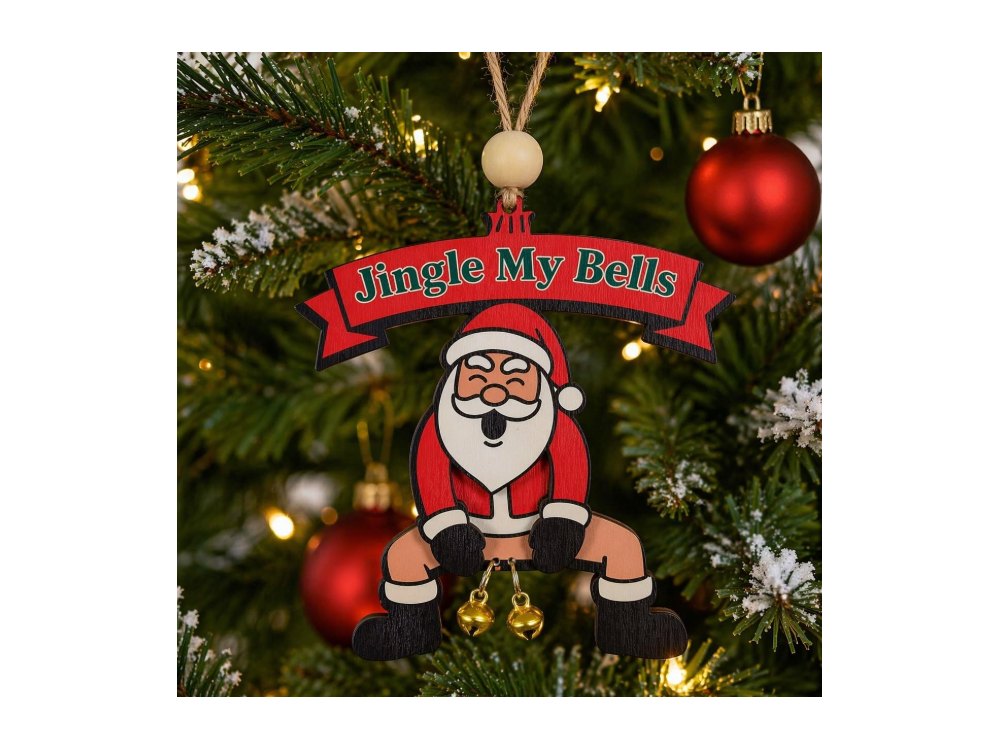 Funny Christmas Ornaments 2025